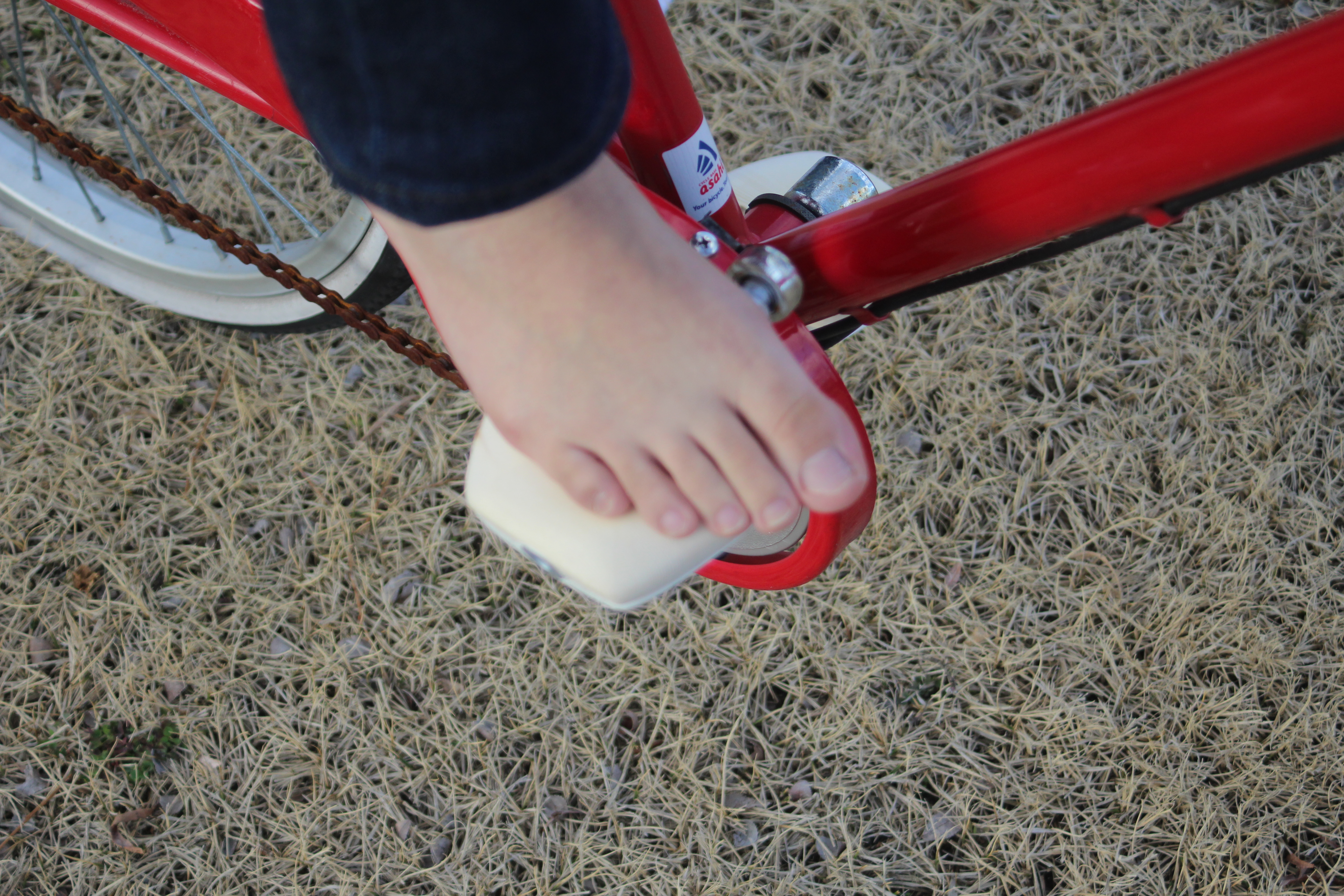 barefoot pedal Image 10